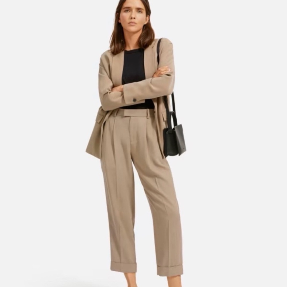 Everlane Put Together Pleat Pants Trousers Taupe Casual Work Business Classic
